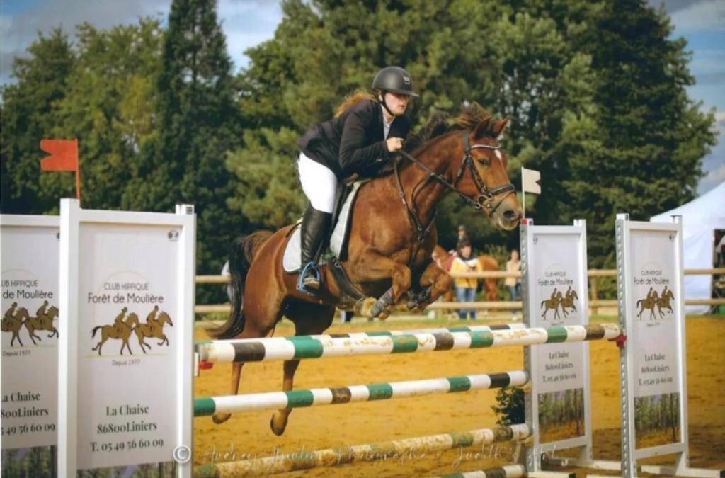 Poney a vendre as2 cso 