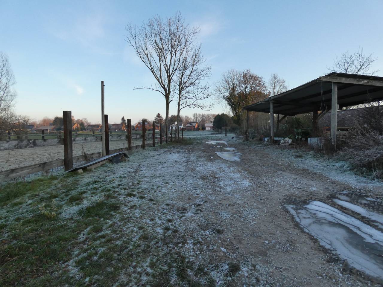 ⚠️Location de boxes pension complète pour chevaux 