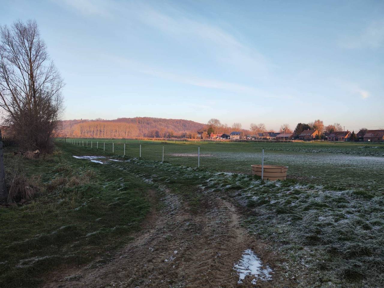 ⚠️Location de boxes pension complète pour chevaux 
