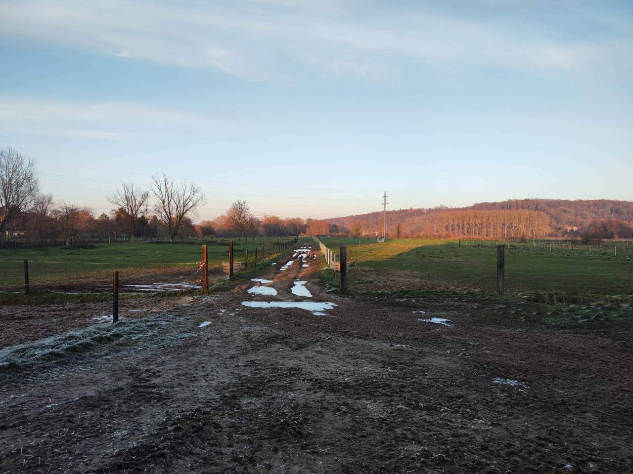 ⚠️Location de boxes pension complète pour chevaux 