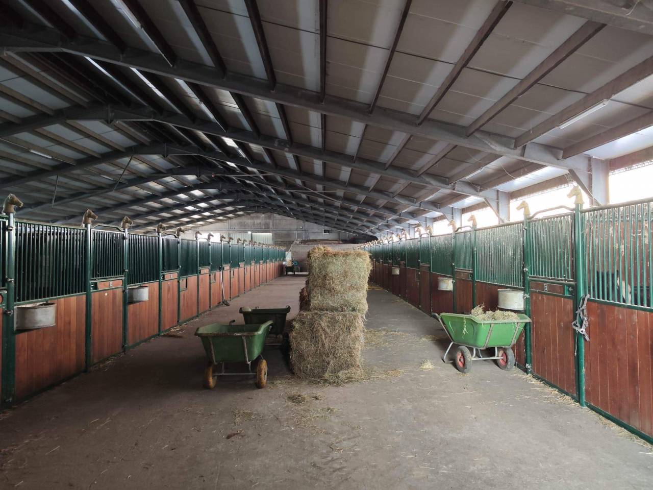 ⚠️Location de boxes pension complète pour chevaux 