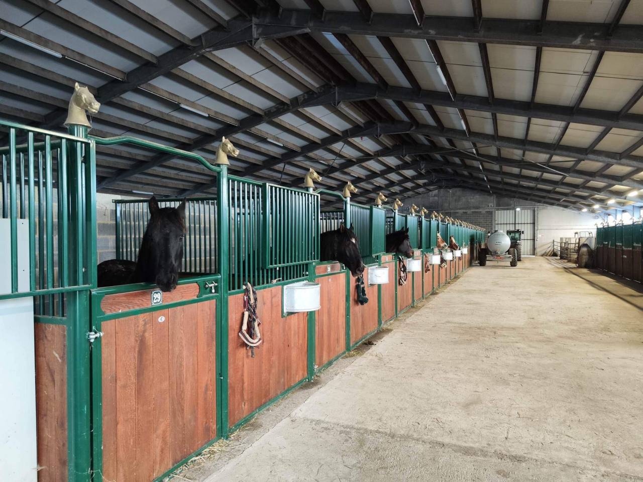 ⚠️Location de boxes pension complète pour chevaux 