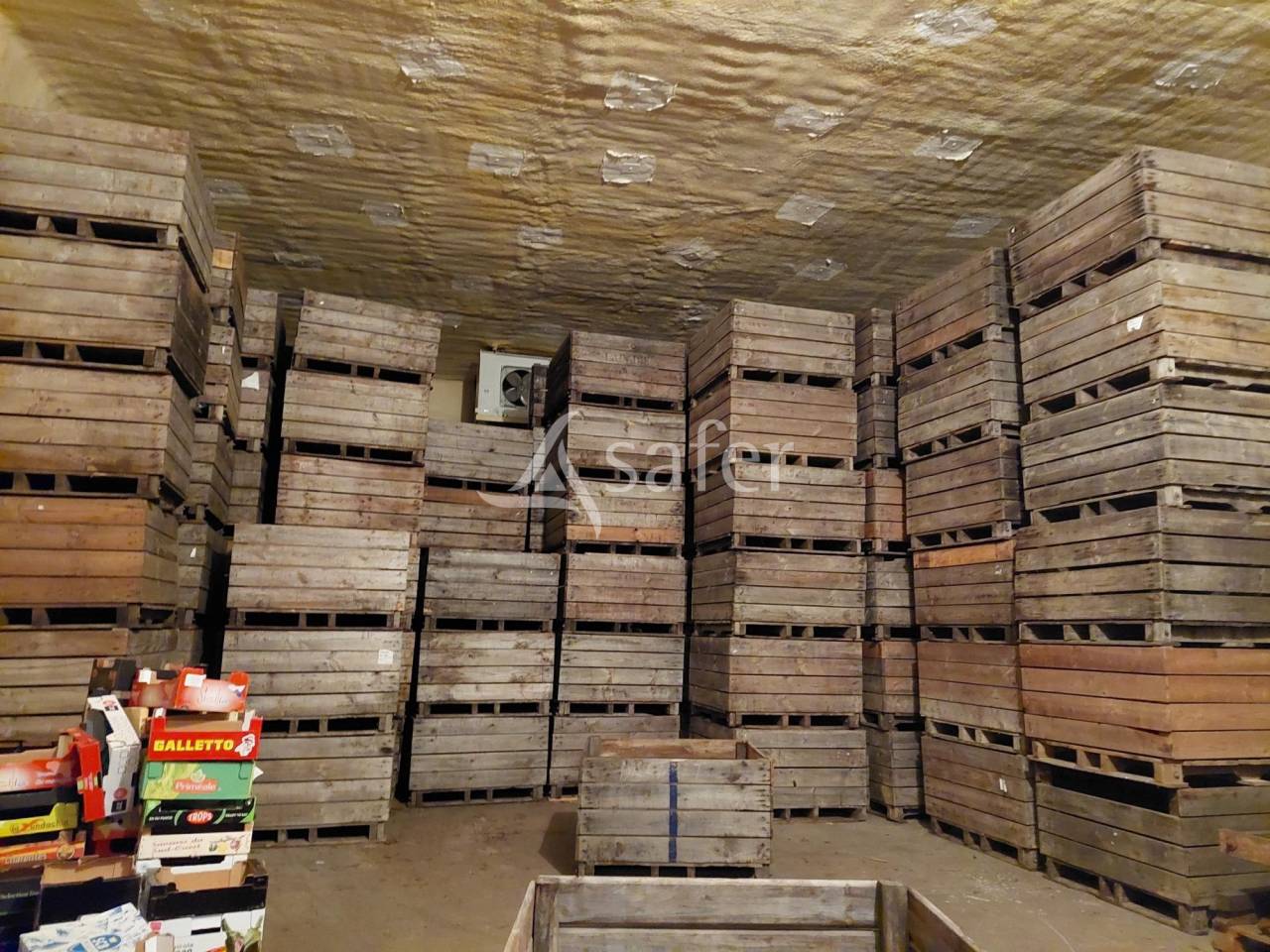 Belle propri&eacute;t&eacute; agricole diversifi&eacute;e sur 44ha avec irrigation