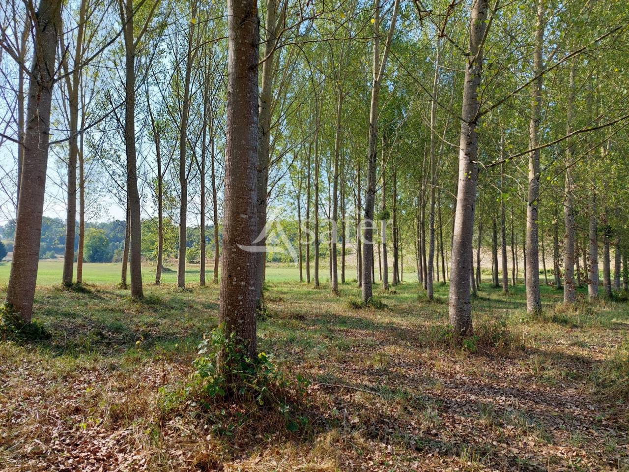 Belle propri&eacute;t&eacute; agricole diversifi&eacute;e sur 44ha avec irrigation