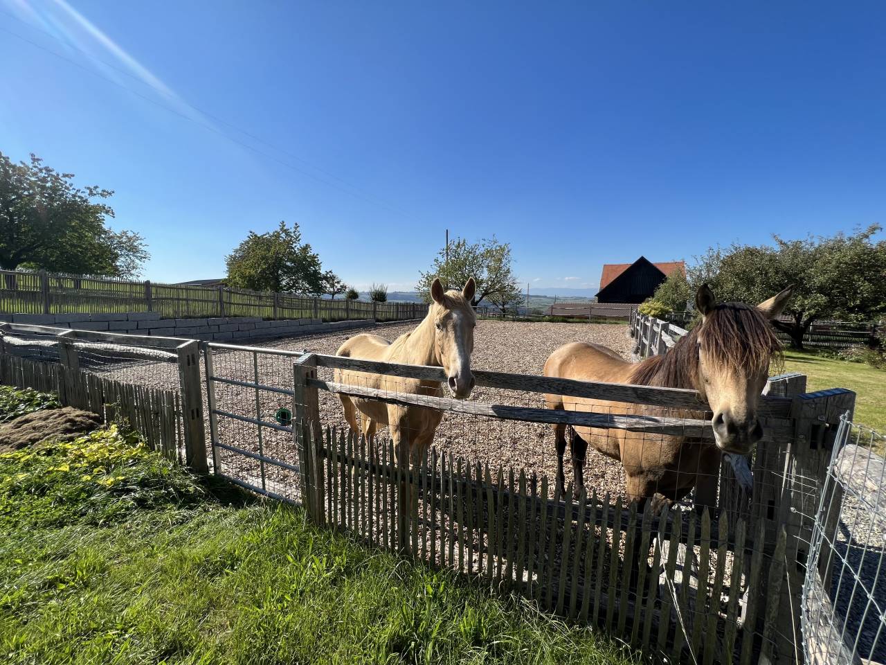 Magnifique ferme rénovée avec écurie en stabulation