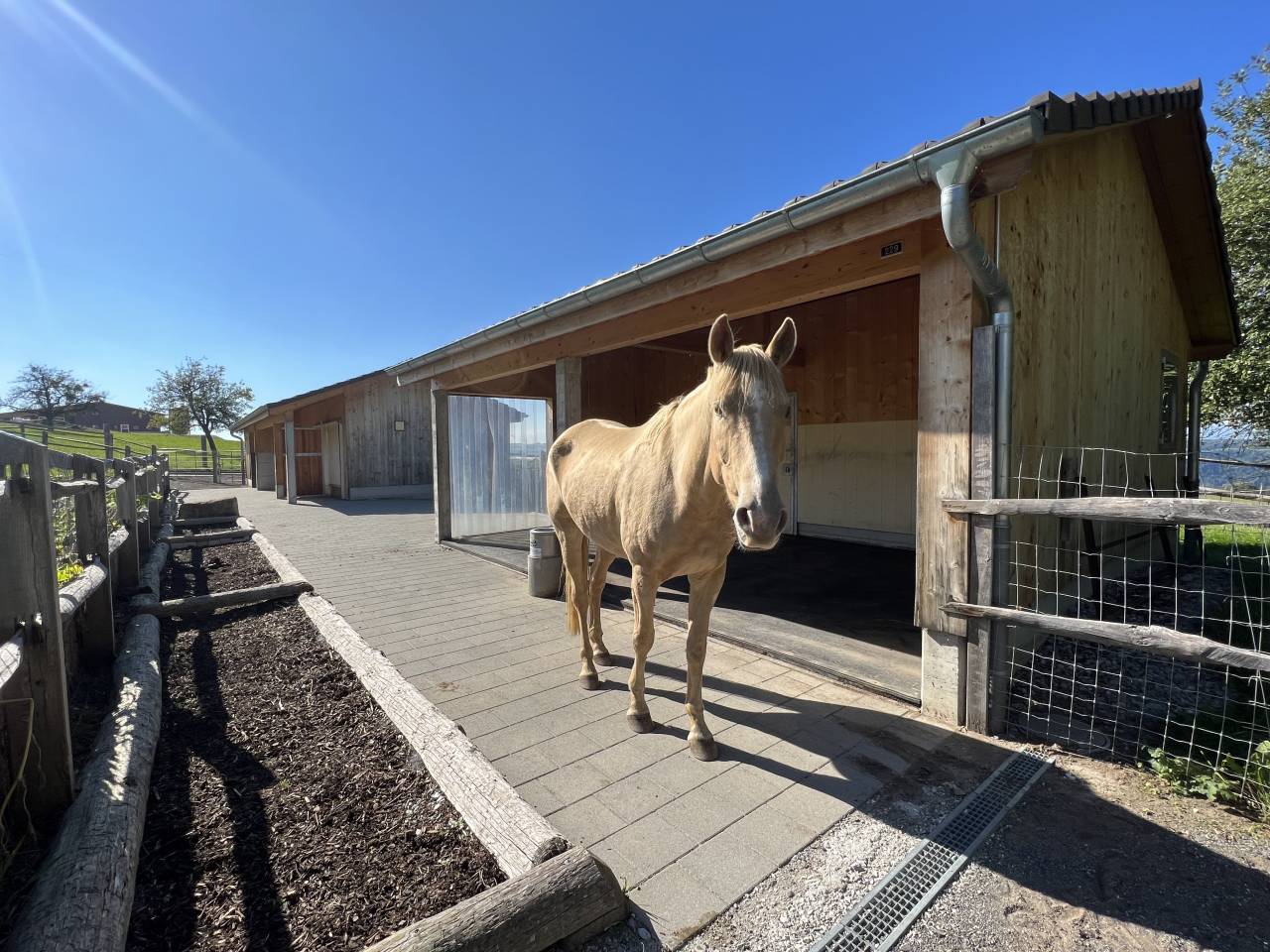 Magnifique ferme rénovée avec écurie en stabulation