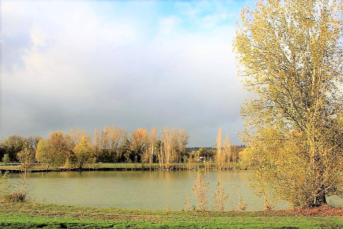 PROPRIETE EQUESTRE DANS LE TARN ET GARONNE