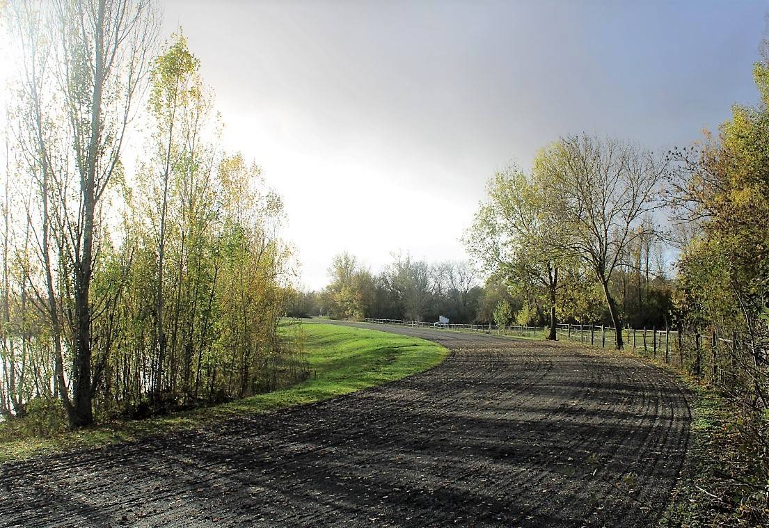 PROPRIETE EQUESTRE DANS LE TARN ET GARONNE