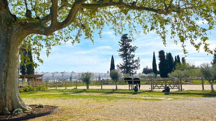 Bouches du Rhône - Belle Propriété équestre