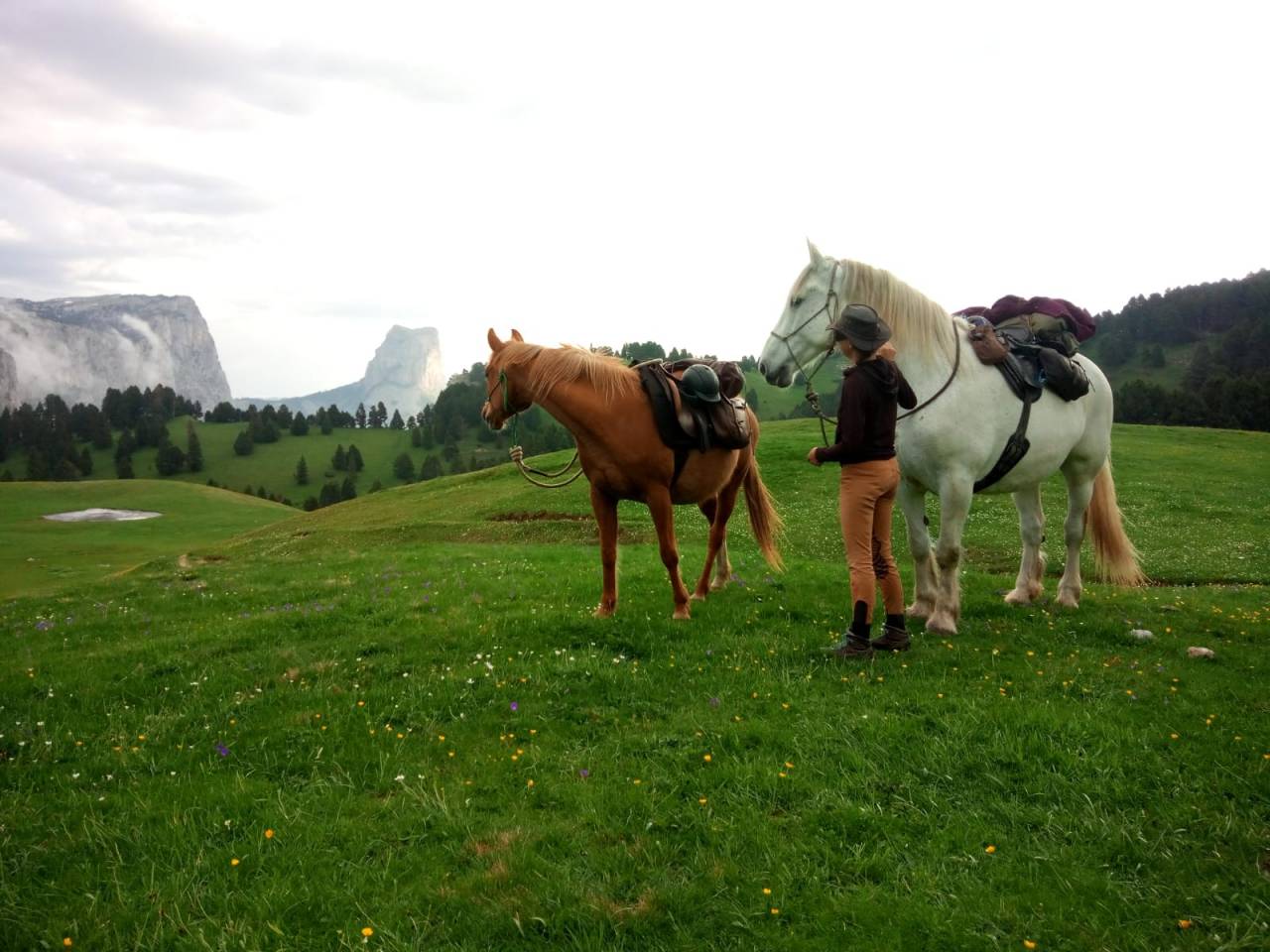 Week-end Randonn&eacute;e &agrave; cheval Vercors