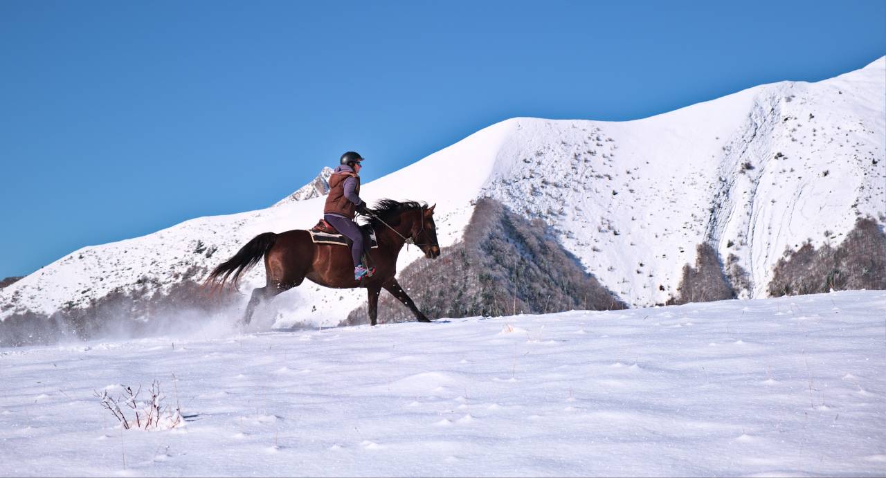 Week-end Randonn&eacute;e &agrave; cheval Vercors