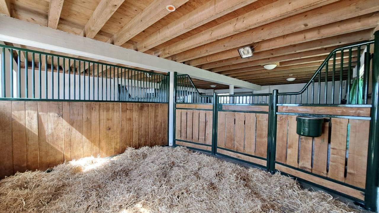 Magnifique ferme avec 3 boxes et paddock