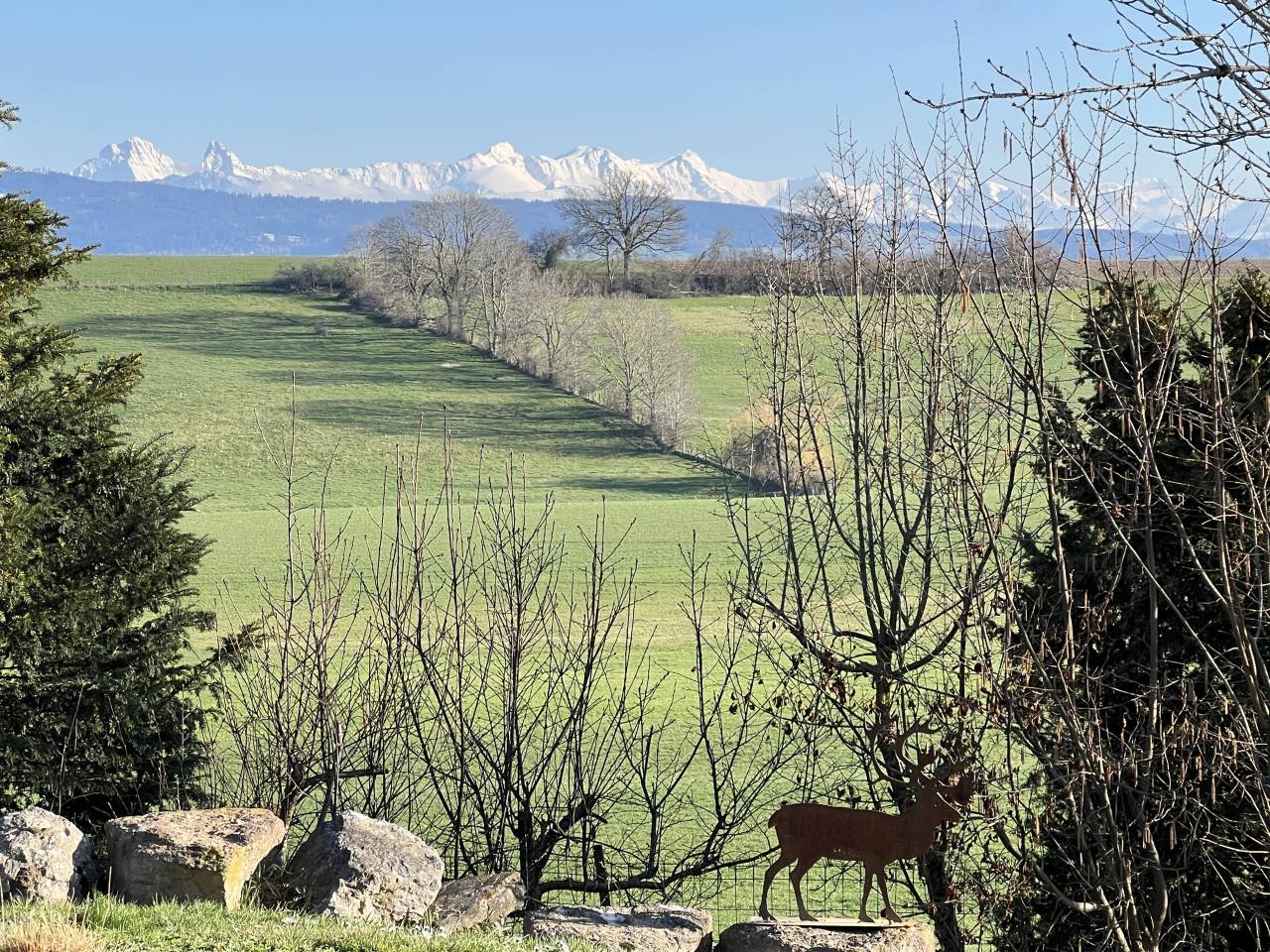 Magnifique ferme avec 3 boxes et paddock