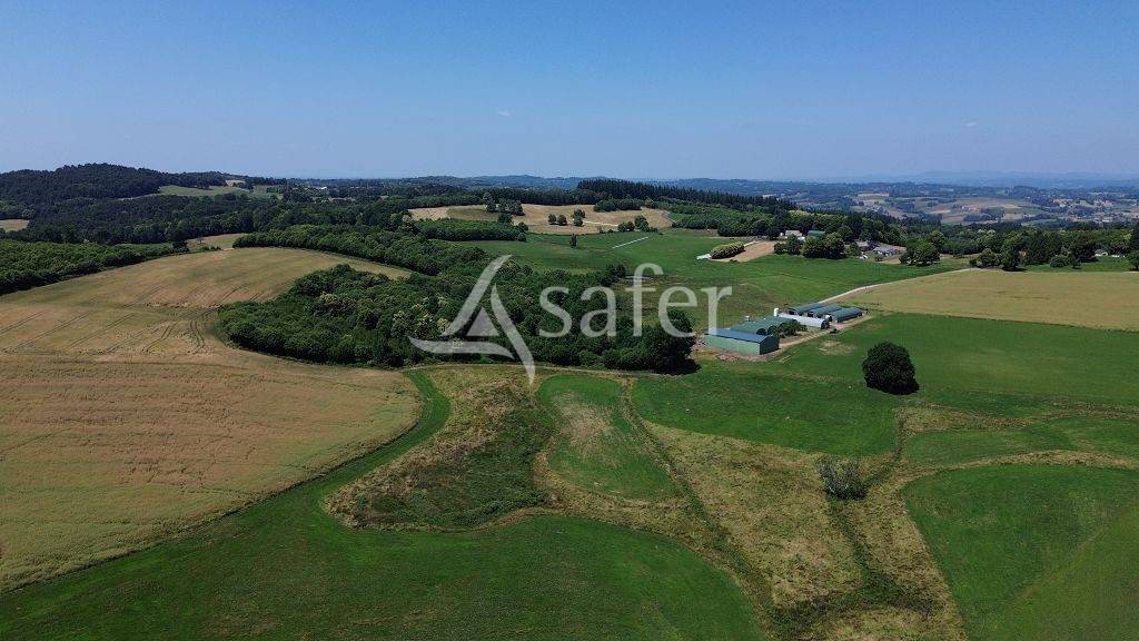 Propri&eacute;t&eacute; agricole tr&egrave;s bien group&eacute;e d'environ 40 ha 50
