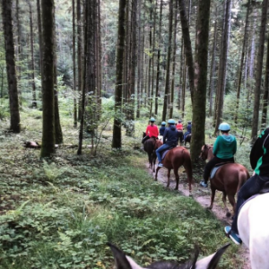 Balade et randonn&eacute;e