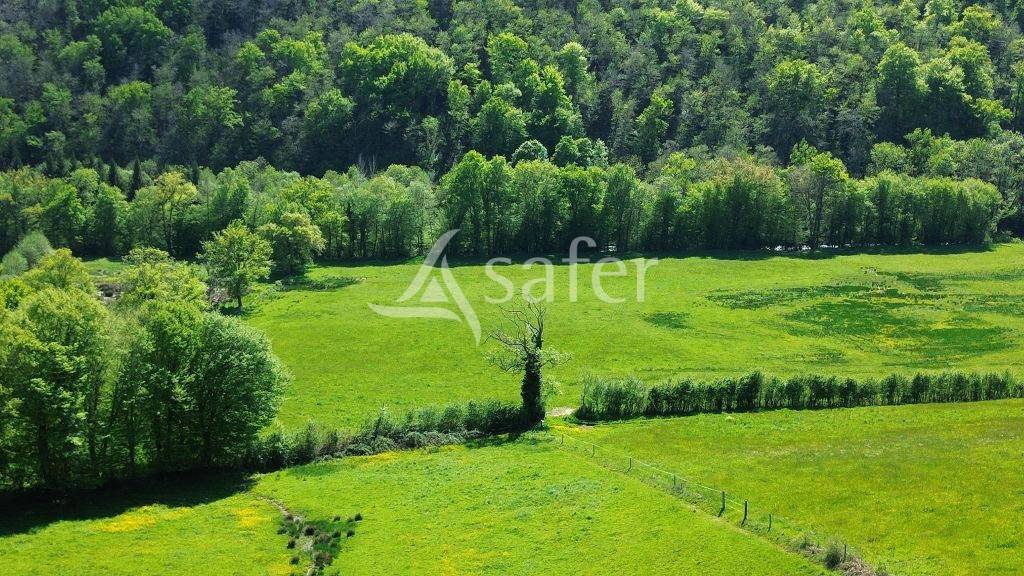 Aux portes de Tulle, domaine de 58 ha avec son bâti de caractè