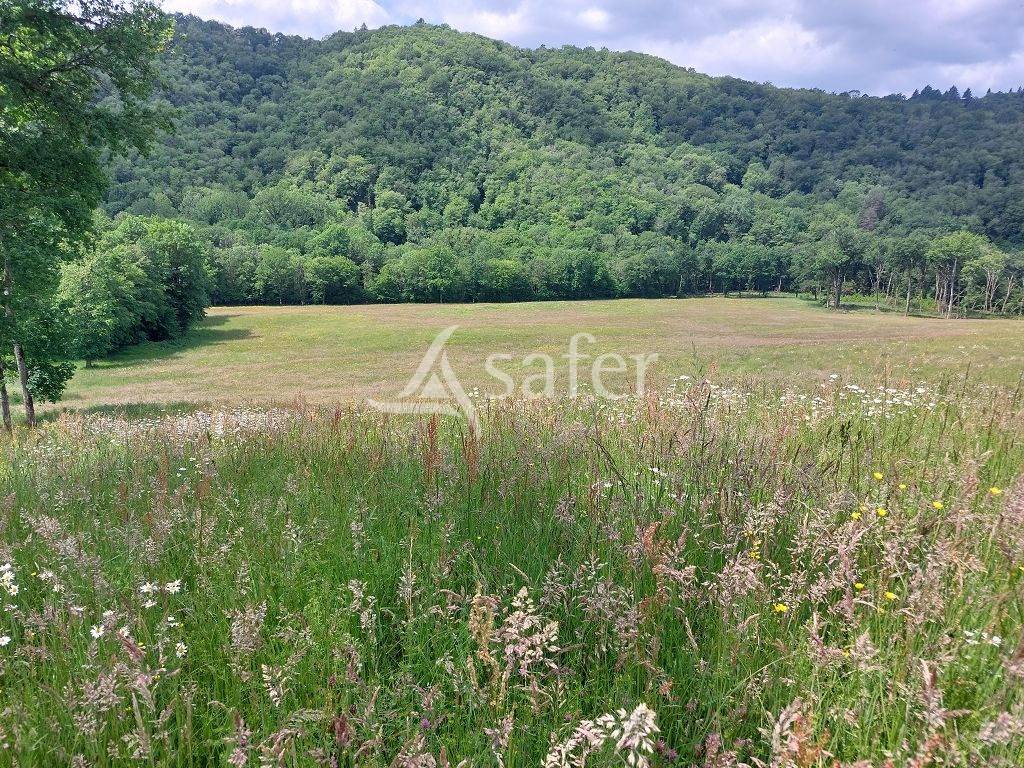 Aux portes de Tulle, domaine de 58 ha avec son bâti de caractè