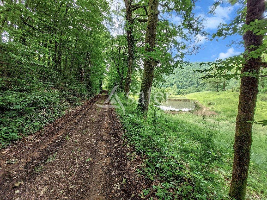 Domaine de 58 ha avec son b&acirc;ti de caract&egrave;re, &agrave; 1h30 de Clermo
