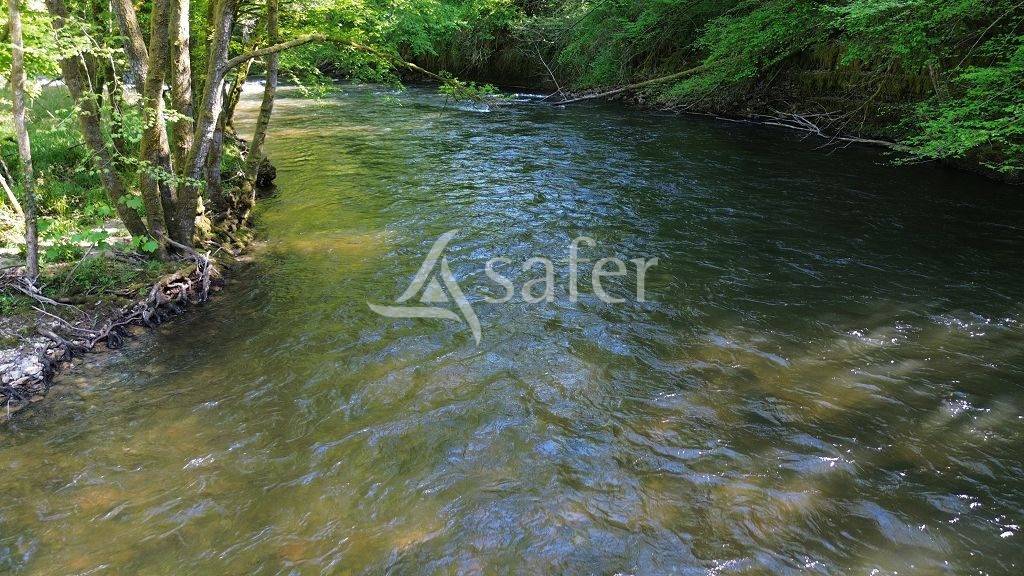 Domaine de 58 ha avec son b&acirc;ti de caract&egrave;re, &agrave; 1h30 de Clermo