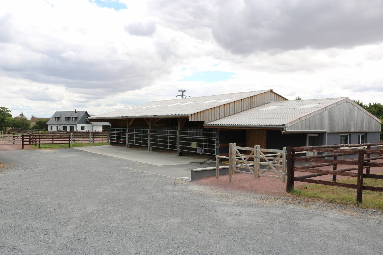 HARAS 68HA - DANS LE TRIANGLE CABOURG / CAEN /DEAUVILLE