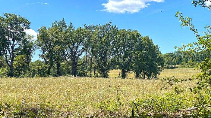 Var - Magnifique domaine sur plus de 100 hectares