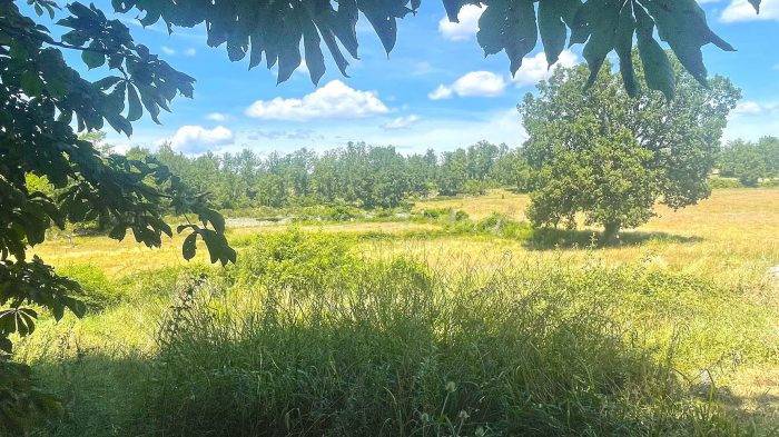 Var - Magnifique domaine sur plus de 100 hectares