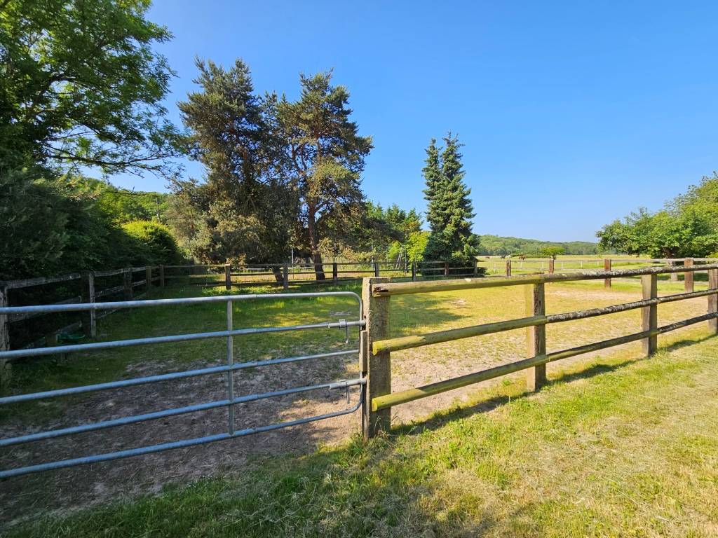 ÉCURIE MULTI ACTIVITÉ 