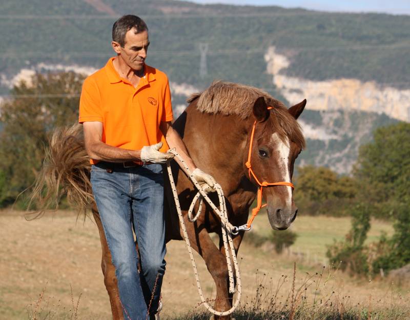 Stage formation aux savoirs en &eacute;quitation &eacute;thologique