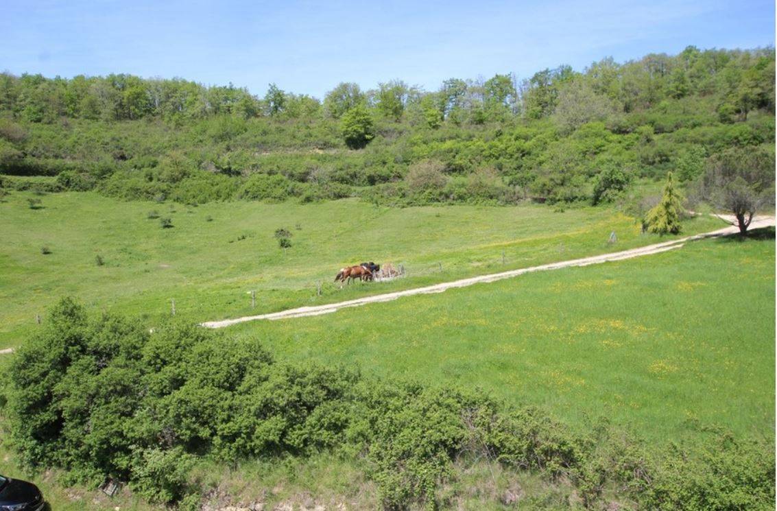 PROPRIETE A VOCATION EQUESTRE SUR 30 HA