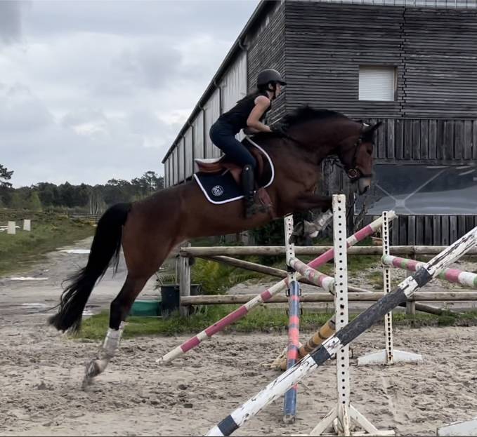 D&eacute;bourrage / R&eacute;&eacute;ducation   Cavali&egrave;re / groom     77