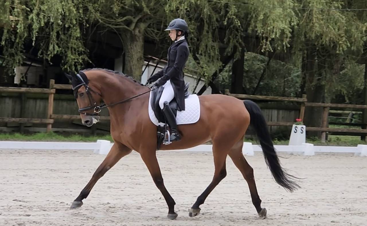 D&eacute;bourrage / R&eacute;&eacute;ducation   Cavali&egrave;re / groom     77