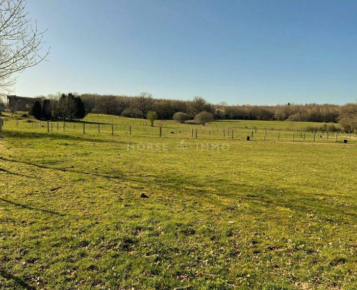 Domaine Equestre en activité