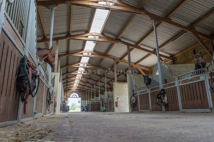 Domaine Equestre en activité