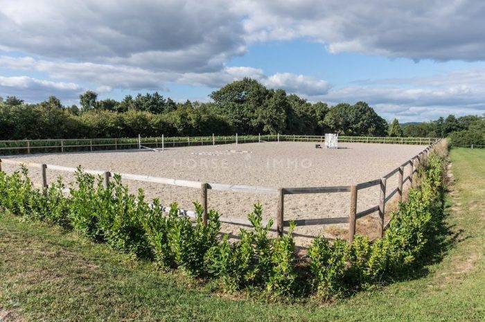 Domaine Equestre en activité