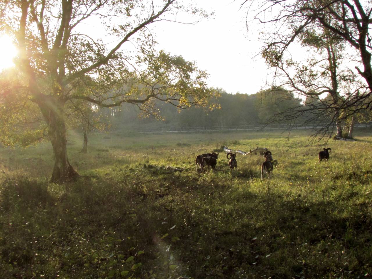 Maison vue sur Baie de Somme