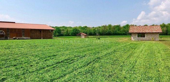 Magnifique domaine au Nord de Bourg en Bresse