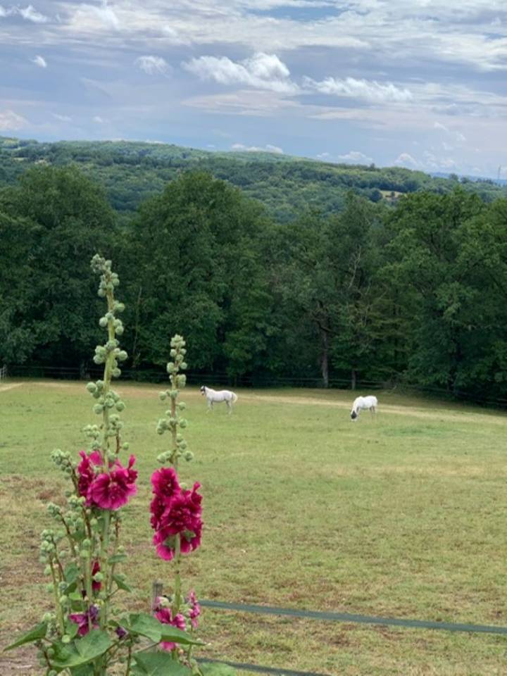 PROPRIETE EQUESTRE DANS LE LOT 