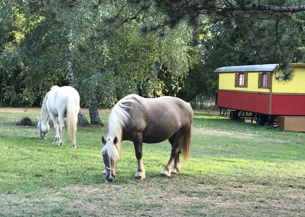 Petit coin de paradis de 15ha situé en Vendée (17)