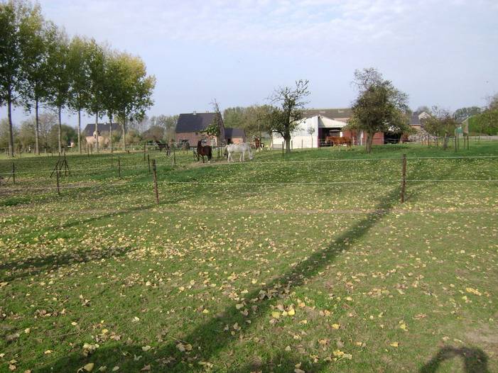 PENSION RETRAITE CHEVAL