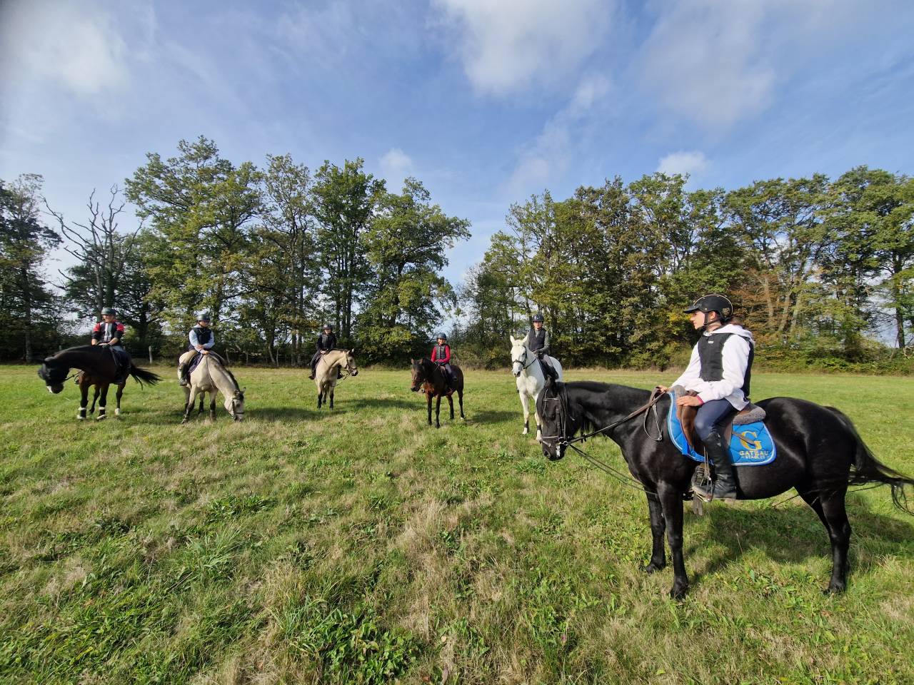 Stages Anglais Poney en France chez les Gateau Stables 