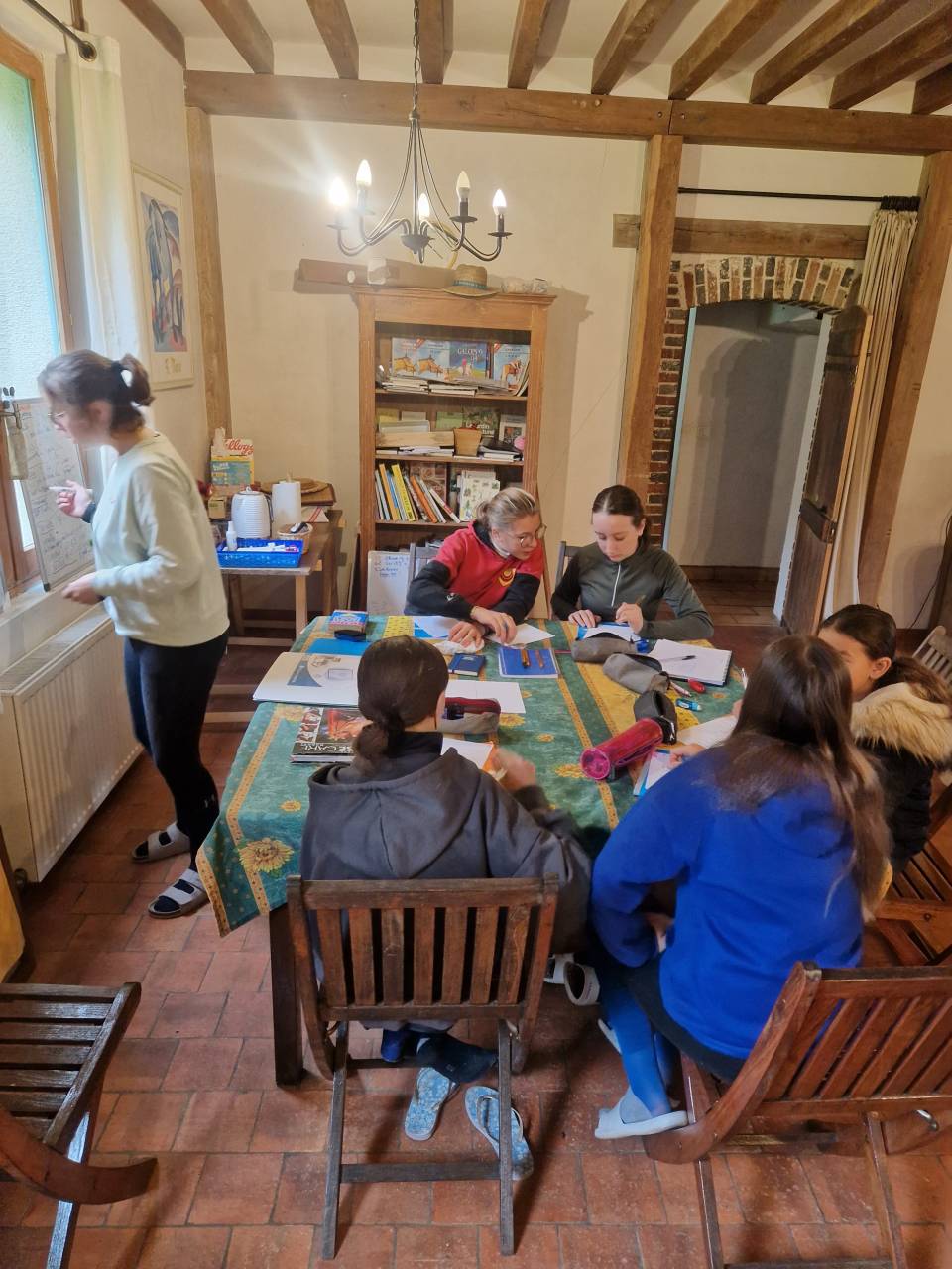 Stages Anglais Poney en France chez les Gateau Stables 