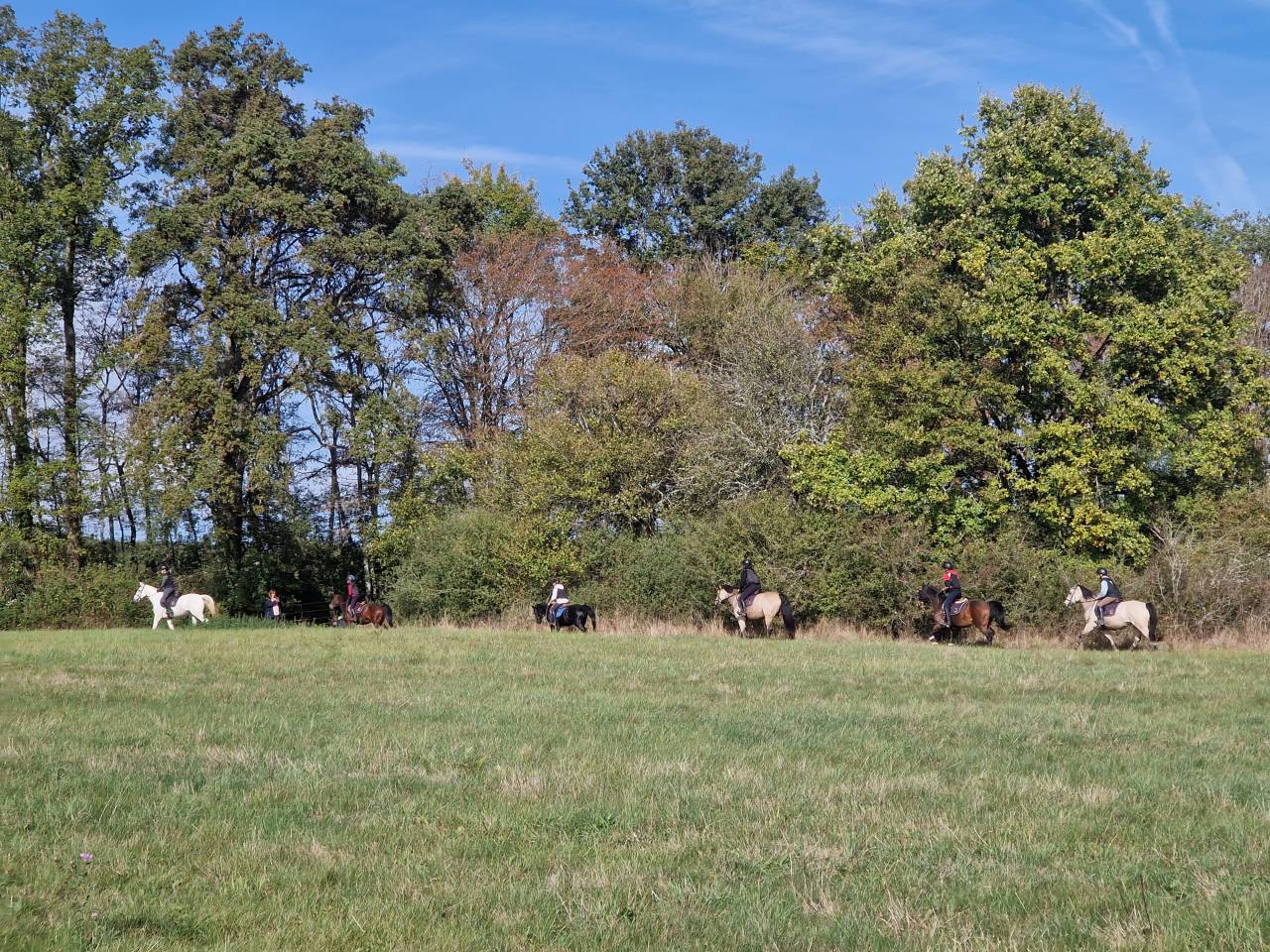 Stages Anglais Poney en France chez les Gateau Stables 
