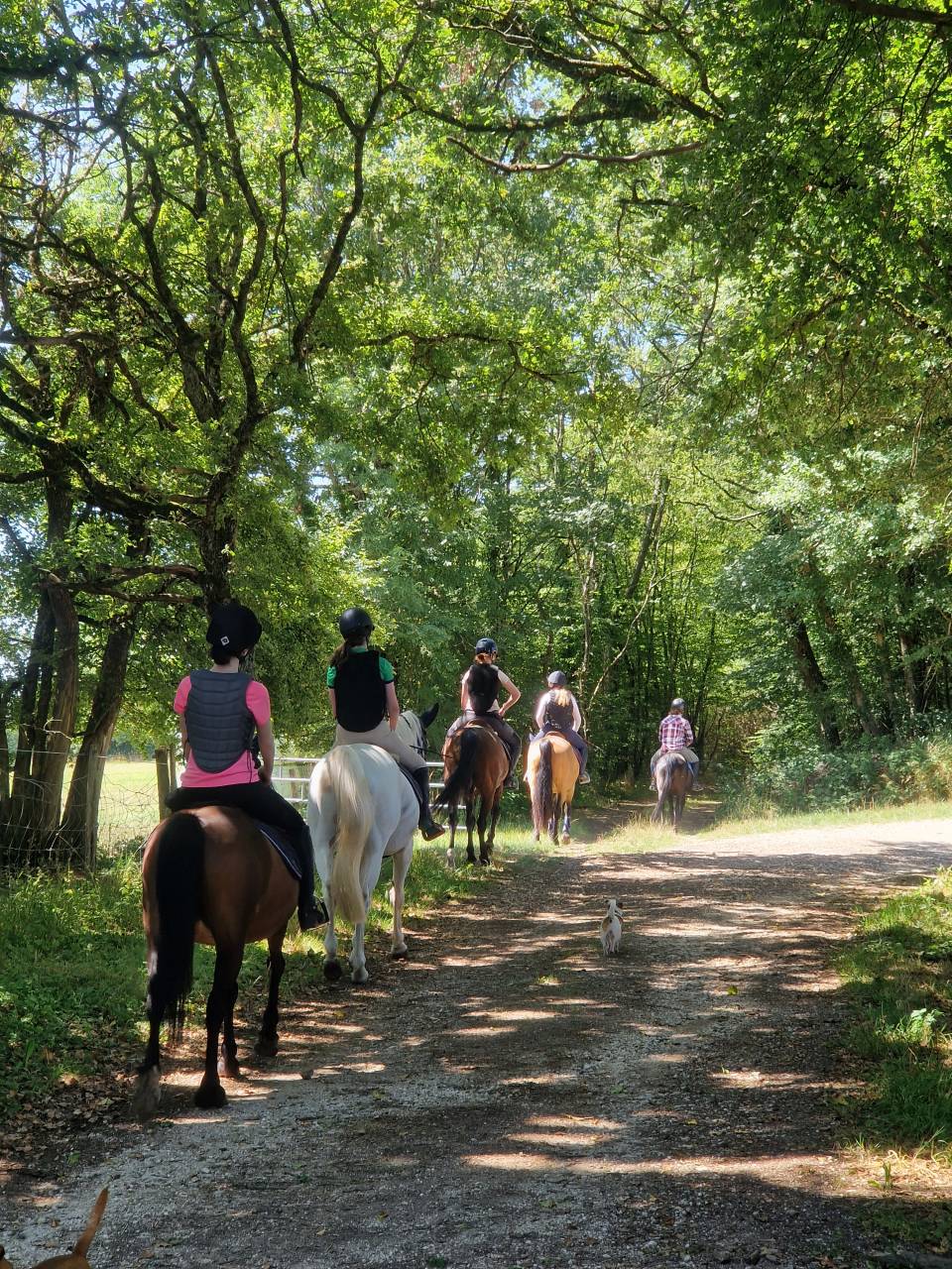 Stages Anglais Poney en France chez les Gateau Stables 