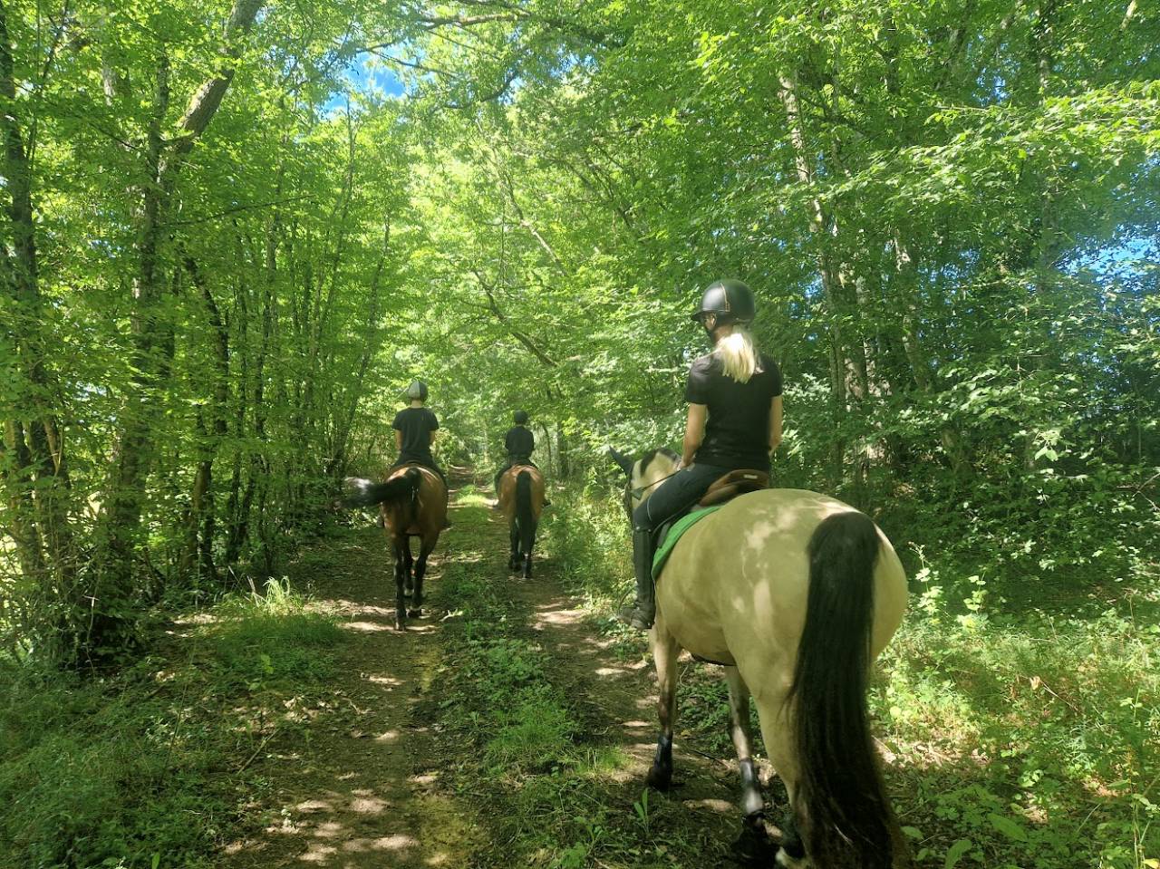 Stages Anglais Poney en France chez les Gateau Stables 