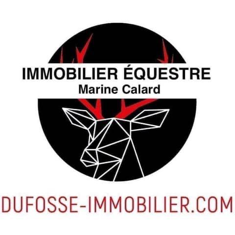 Somptueuse propriété équestre de 9 ha (13)