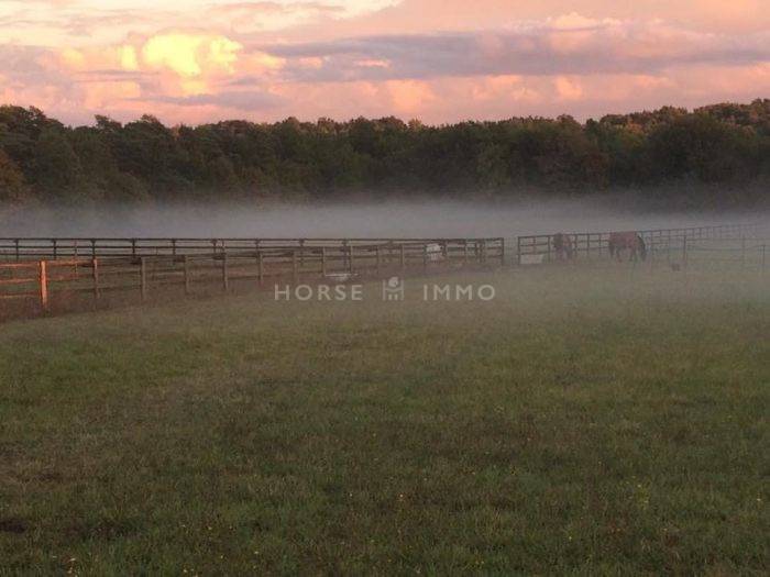 Domaine Equestre proche de Fontainbleau