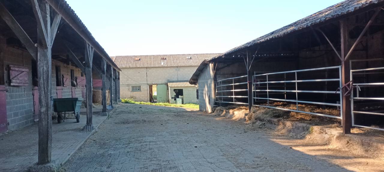 Haras sur 15 ou 29ha avec 2 maisons
