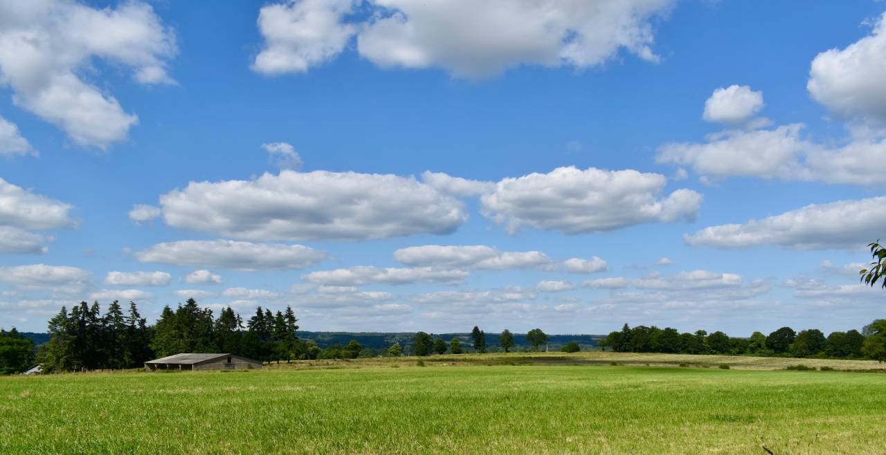 Haras sur 15 ou 29ha avec 2 maisons