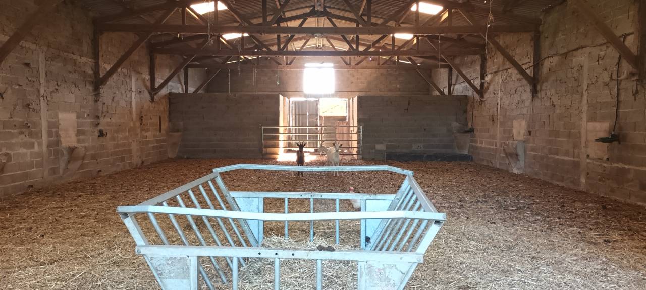 Haras sur 15 ou 29ha avec 2 maisons