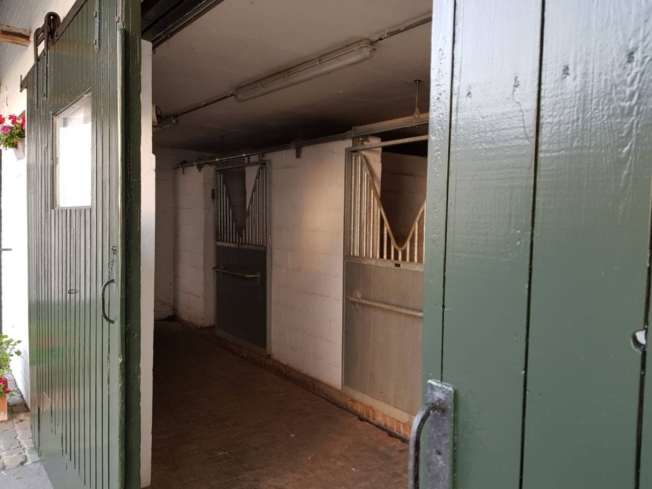 Pension pour chevaux région de Peruwelz 